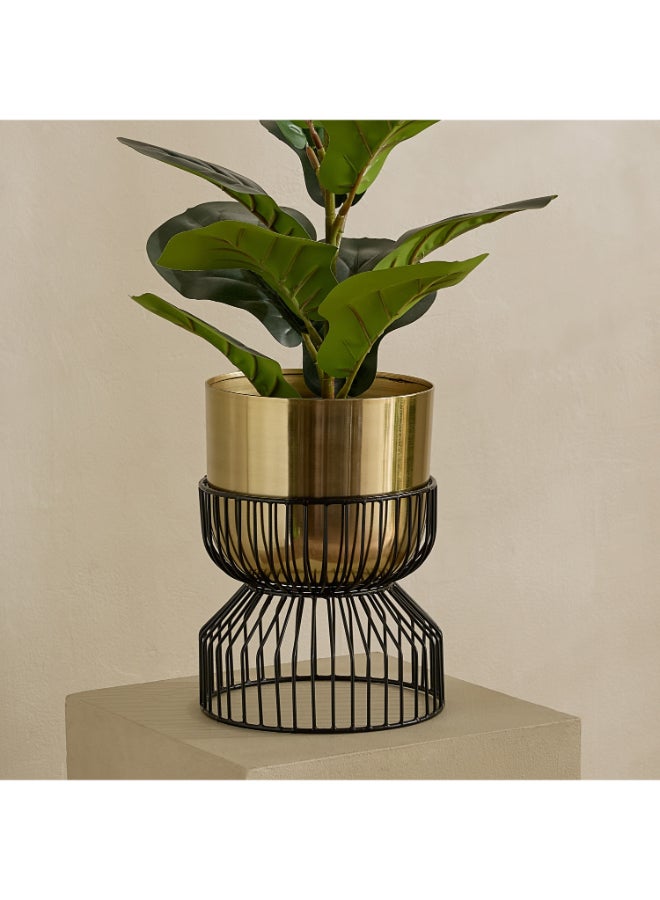 Home Box Premium Metal Planter Stand - Black and Gold - Image 1